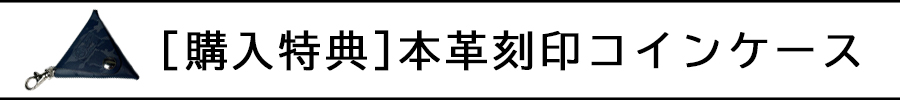 coin900-100