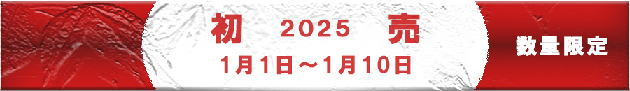 20250101sale
